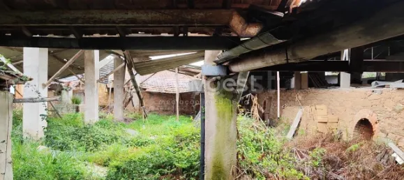 5 Schlafzimmer Haus in Sarzedas, Portugal, Nr. 77553 38