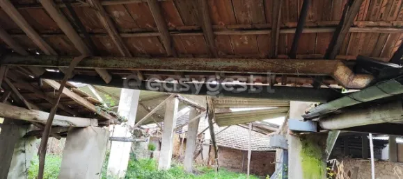 5 Schlafzimmer Haus in Sarzedas, Portugal, Nr. 77553 33