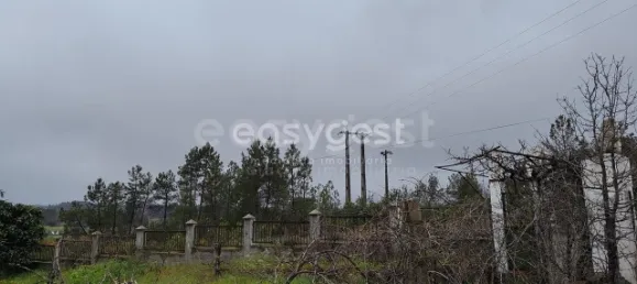 5 Schlafzimmer Haus in Sarzedas, Portugal, Nr. 77553 2