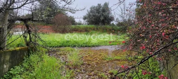 5 Schlafzimmer Haus in Sarzedas, Portugal, Nr. 77553 30