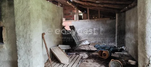 5 Schlafzimmer Haus in Sarzedas, Portugal, Nr. 77553 39