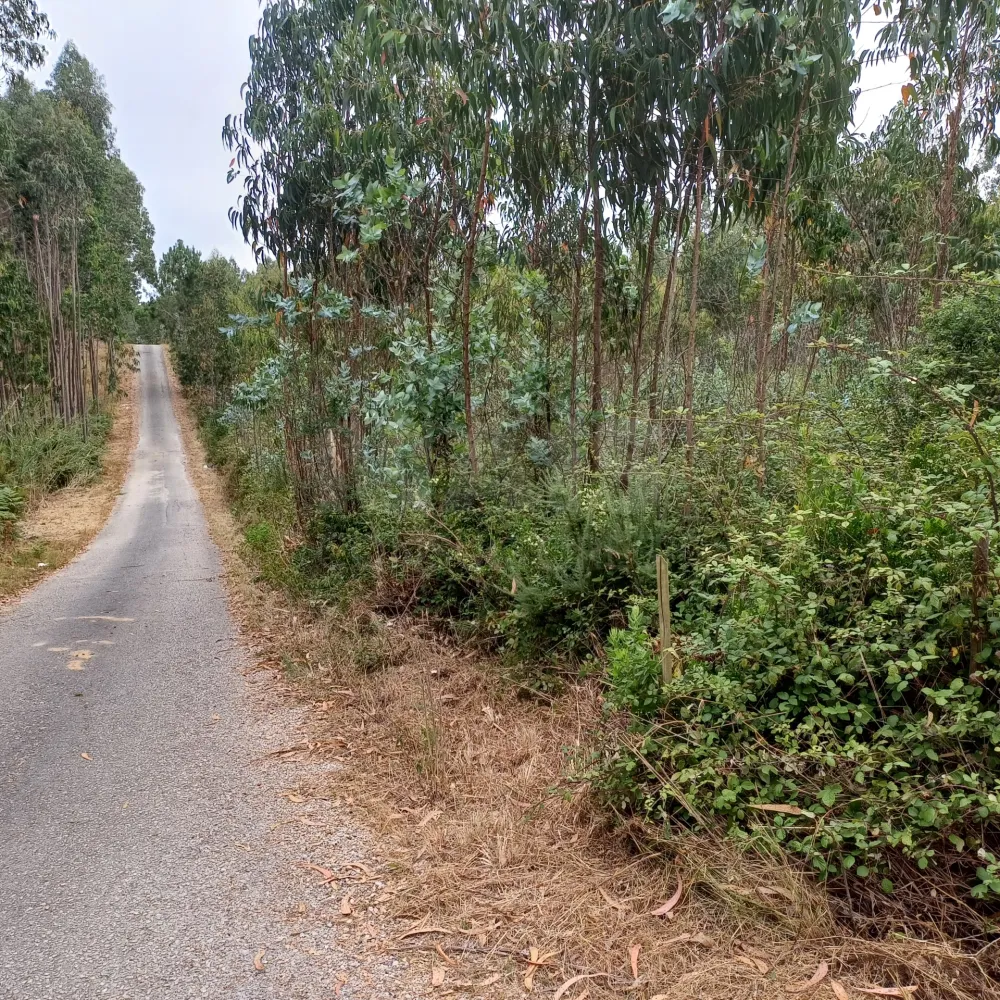 11500m² Land in Caldas da Rainha, Portugal No. 235005