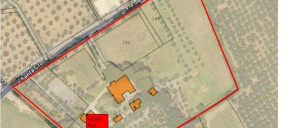 25 rooms Villa in Frascati, Italy No. 266697 9