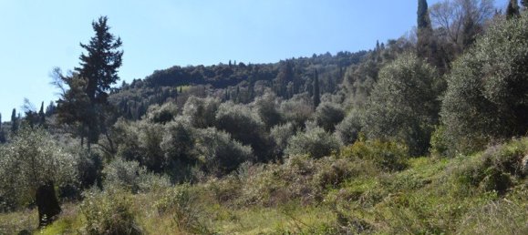 فندق في Corfu, Greece 8000متر مربع رقم 7315 4