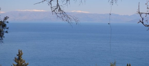 فندق في Corfu, Greece 8000متر مربع رقم 7315 8