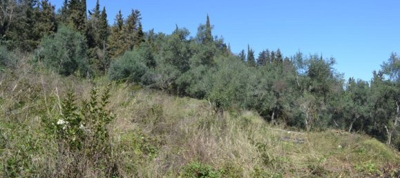 فندق في Corfu, Greece 8000متر مربع رقم 7315 6