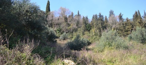 فندق في Corfu, Greece 8000متر مربع رقم 7315 3