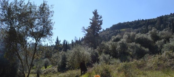 8000m² Hotel in Corfu, Greece No. 7315 5