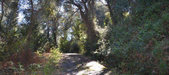 8000m² Hotel in Corfu, Greece No. 7315 7