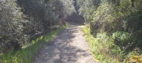 فندق في Corfu, Greece 8000متر مربع رقم 7315 2