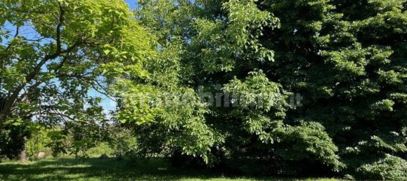 4 Schlafzimmer Villa in Sarzana, Italy, Nr. 330448 5