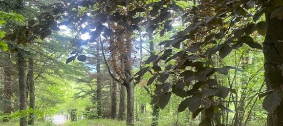 6 rooms House in Monghidoro, Italy No. 144084 13