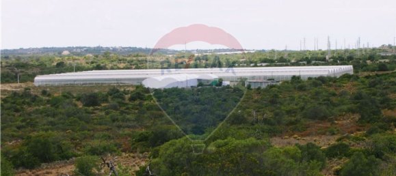 Grundstück in Faro, Portugal 7740m², Nr. 54970 4