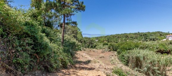 7822m² Land in Ericeira, Portugal No. 48756 12