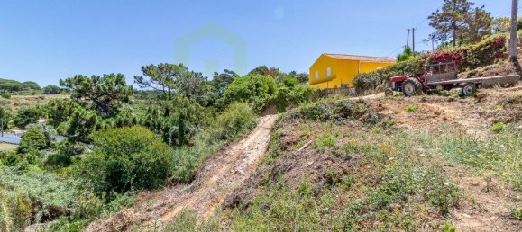 7822m² Land in Ericeira, Portugal No. 48756 8