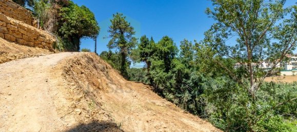 7822m² Land in Ericeira, Portugal No. 48756 10