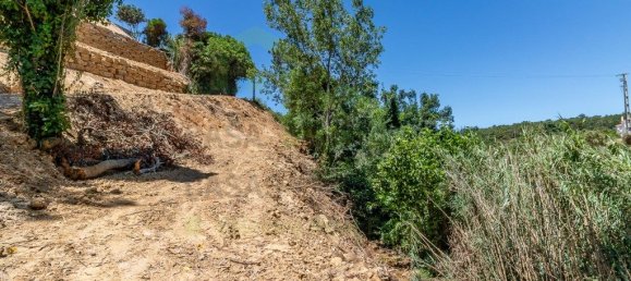 7822m² Land in Ericeira, Portugal No. 48756 11