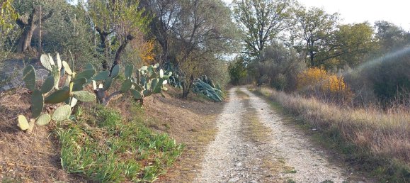 Земельный участок 7000м² в Сан Джованни Театино, Италия № 12744 5