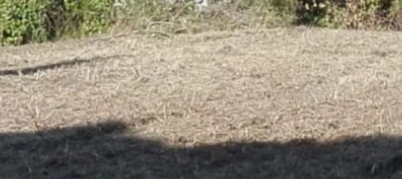 Земельный участок 7000м² в Сан Джованни Театино, Италия № 12744 10