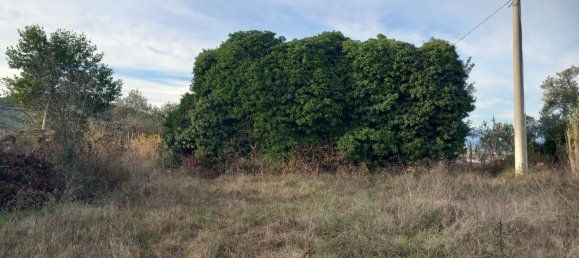 Земельный участок 7000м² в Сан Джованни Театино, Италия № 12744 11