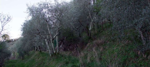 2 rooms House in Bagno a Ripoli, Italy No. 141265 12