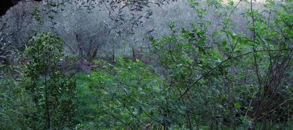 2 rooms House in Bagno a Ripoli, Italy No. 141265 23