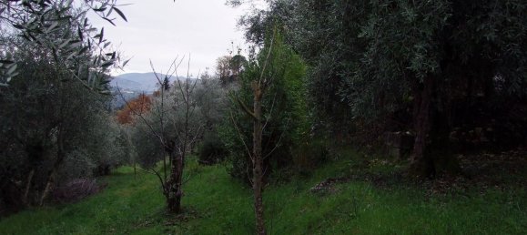 2 rooms House in Bagno a Ripoli, Italy No. 141265 11