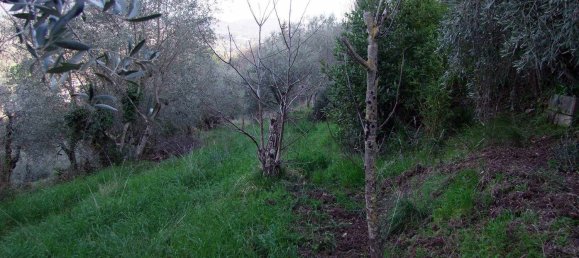 2 rooms House in Bagno a Ripoli, Italy No. 141265 21