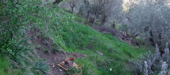 2 rooms House in Bagno a Ripoli, Italy No. 141265 20