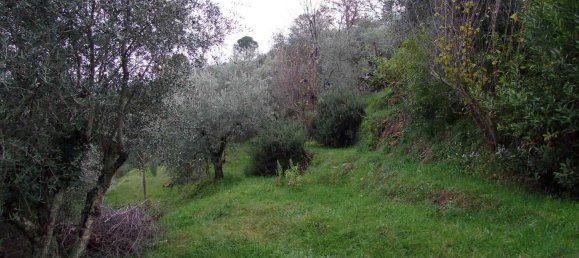 2 rooms House in Bagno a Ripoli, Italy No. 141265 15