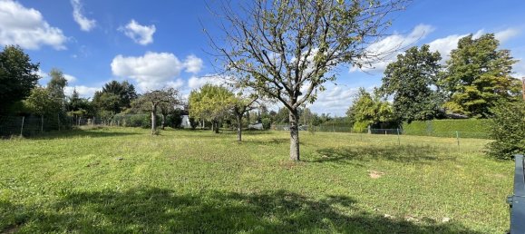 Terrain à Main-Kinzig, Germany No. 154306 4