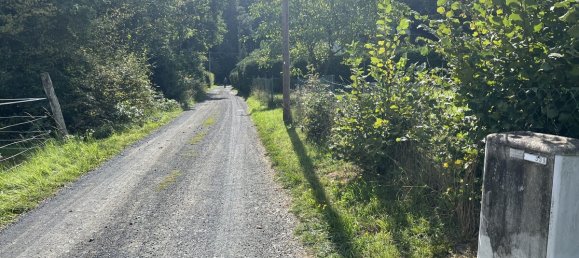 Terrain à Main-Kinzig, Germany No. 154306 6