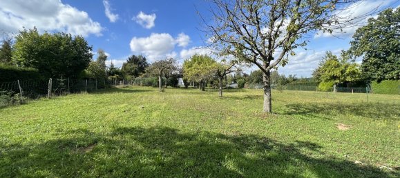 Terrain à Main-Kinzig, Germany No. 154306 3