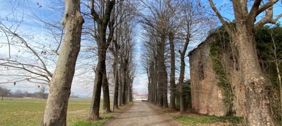 20 rooms House in Settimo Torinese, Italy No. 212142 18