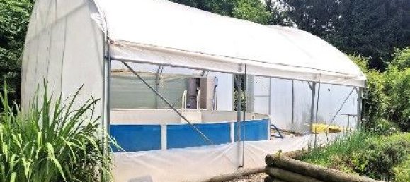 4 rooms House in Sinabelkirchen, Austria No. 58653 23