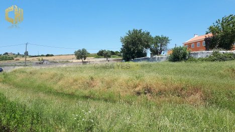 Terreno en Sobral de Monte Agraco, Portugal 39520 m² No. 79077