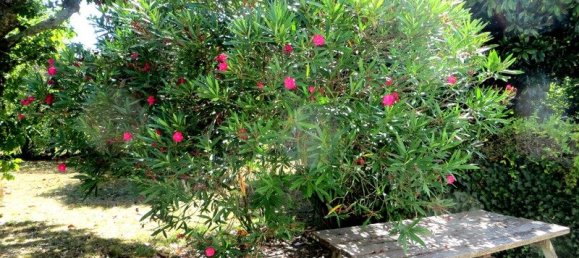 Casa de 3 dormitorios en Lanton, France No. 278726 10