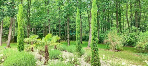 6 bedrooms House in Chaudon, France No. 272502 19