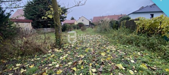 3 غرف نوم منزل في Bollwiller, France رقم 280538 4