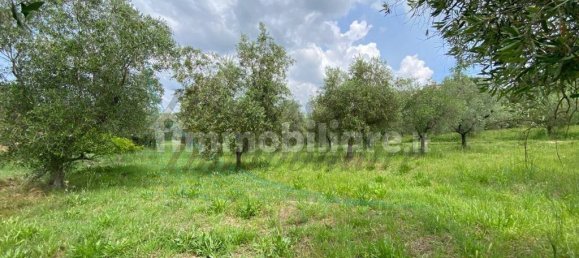 4 bedrooms Villa in Casale Marittimo, Italy No. 288295 13