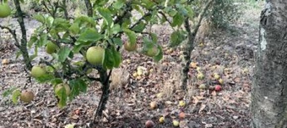 2غرفة منزل في Pas-de-Calais, France رقم 310994 15