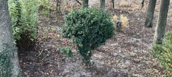 2غرفة منزل في Pas-de-Calais, France رقم 310994 14