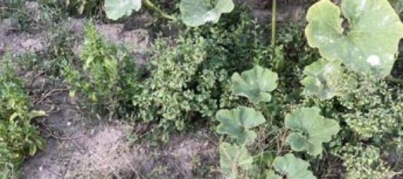 2غرفة منزل في Pas-de-Calais, France رقم 310994 13