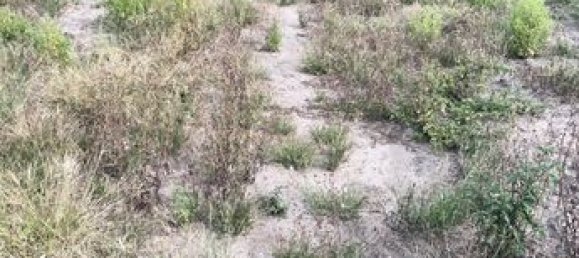 2غرفة منزل في Pas-de-Calais, France رقم 310994 7