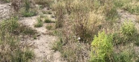 2غرفة منزل في Pas-de-Calais, France رقم 310994 12