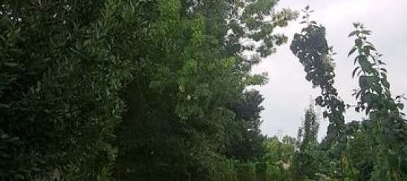 Terrain à Rieumes, France 350m² No. 284817 3