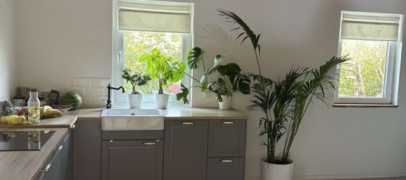 2 rooms House in Bergstrase, Germany No. 310746 4