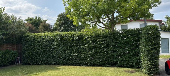 2 rooms House in Bergstrase, Germany No. 310746 13