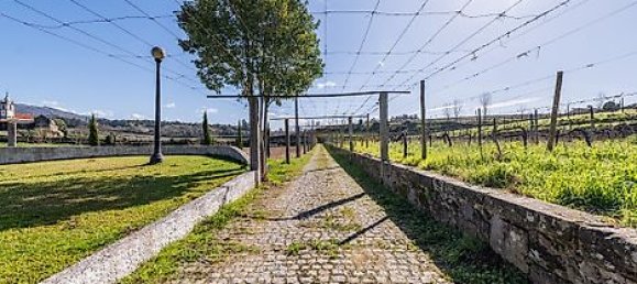 5 bedrooms House in Rendufe, Portugal No. 40919 55