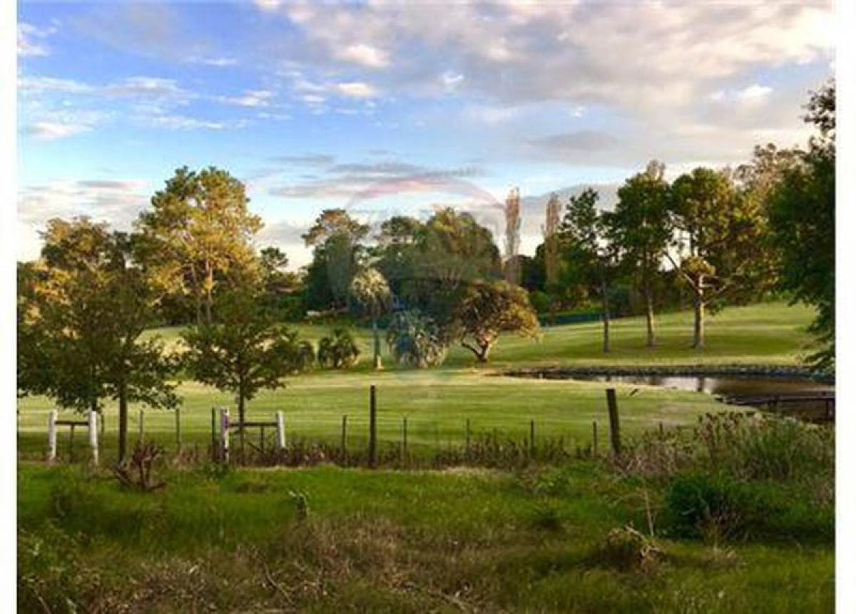 Grundstück in Maldonado, Uruguay, Nr. 14278